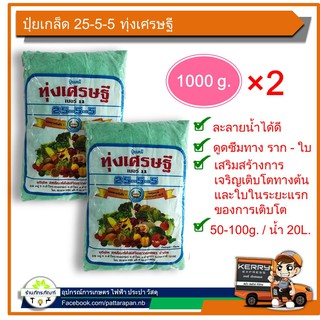 ปุ๋ยเคมี ฉีดพ่นทางใบ ทุ่งเศรษฐี ตราหวีทอง สูตร 25-5-5 (แพ็ค 2 ชิ้น) ถุงละ1 กิโลกรัม