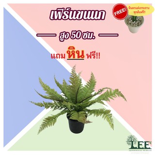 **เฟิร์น** ต้นเฟิร์นขนนกปลอม สูง 50 ซม. #ต้นไม้ปลอมตกแต่งบ้าน Leeartplants