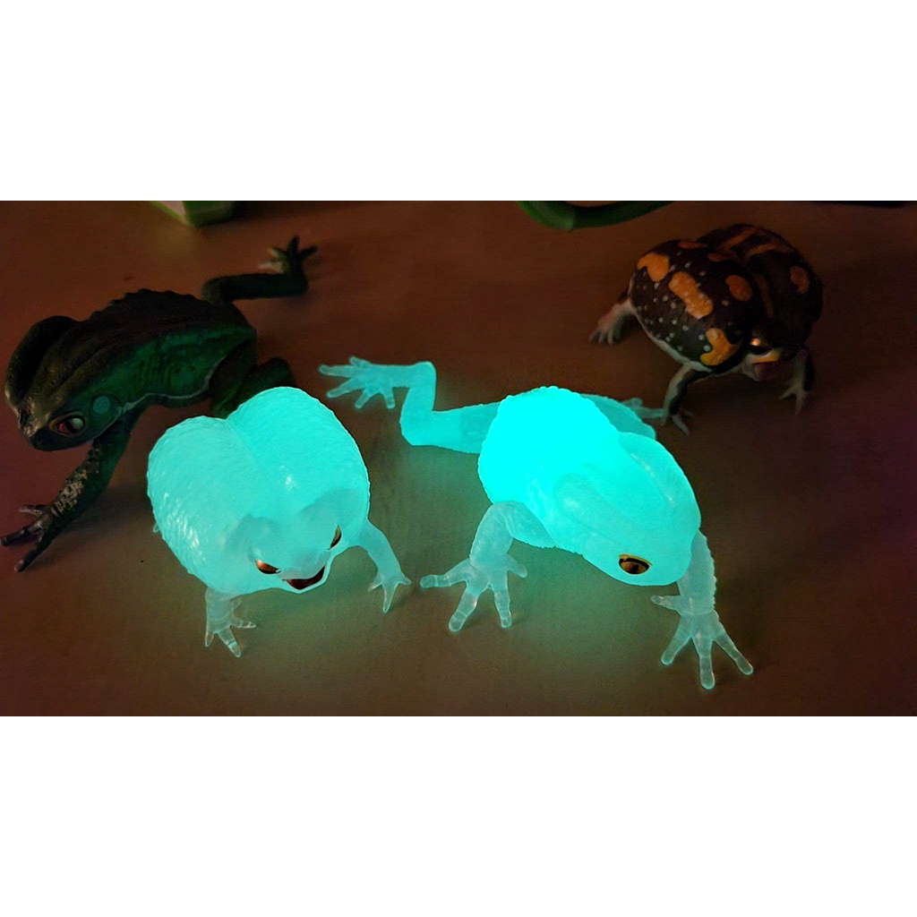 (เพิ่มครบชุดพร้อมส่ง) กาชาปองกบต้นไม้ Gashapon SO-TA Breviceps Adspersus & Waxy Monkey Tree Frog โมเดลสัตว์ - รูปที่ 3