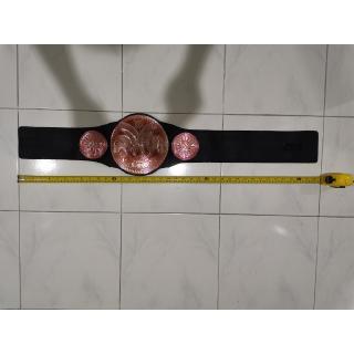 Wwe TAG TEAM WRESTLING CHAMPIONSHIP TITLE BELT TOY BELT ORANGE (เด็ก)