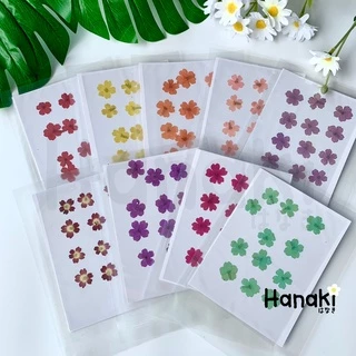 【พร้อมส่ง】ดอกเวอร์บีน่า ดอกเวอร์บีน่าทับ ดอกไม้ทับแห้ง ดอกไม้จริงทับแห้ง Pressed Flowers💐