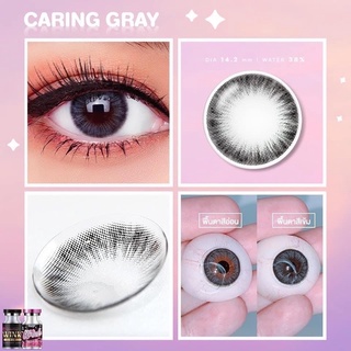 คอนแทคเลนส์ลายปัง พร้อมส่ง สีเทา &amp; สีน้ำตาล 🔍✨