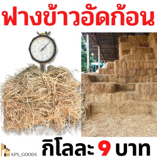 ฟาง ฟางข้าว ฟางข้าวอัดก้อน 1 กิโลกรัม 9 บาท ส่งจากนครปฐม ราคาหน้าสวน สวนมาเอง ไม่ชื้น ไม่เก่า ไม่ราขึ้น