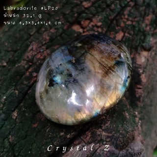 Labradorite #palm 🔮🧙 #LP20ลาบราโดไรต์ "หินพ่อมด" เล่นแสง แฟลชเหลือง ฟ้า 💛💙