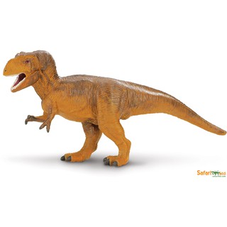 Safari Ltd. : SFR30000 โมเดลไดโนเสาร์ Tyrannosaurus Rex