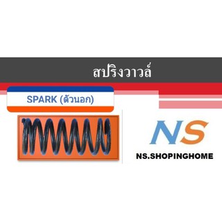 สปริงวาล์ว SPARK110 ตัวนอก