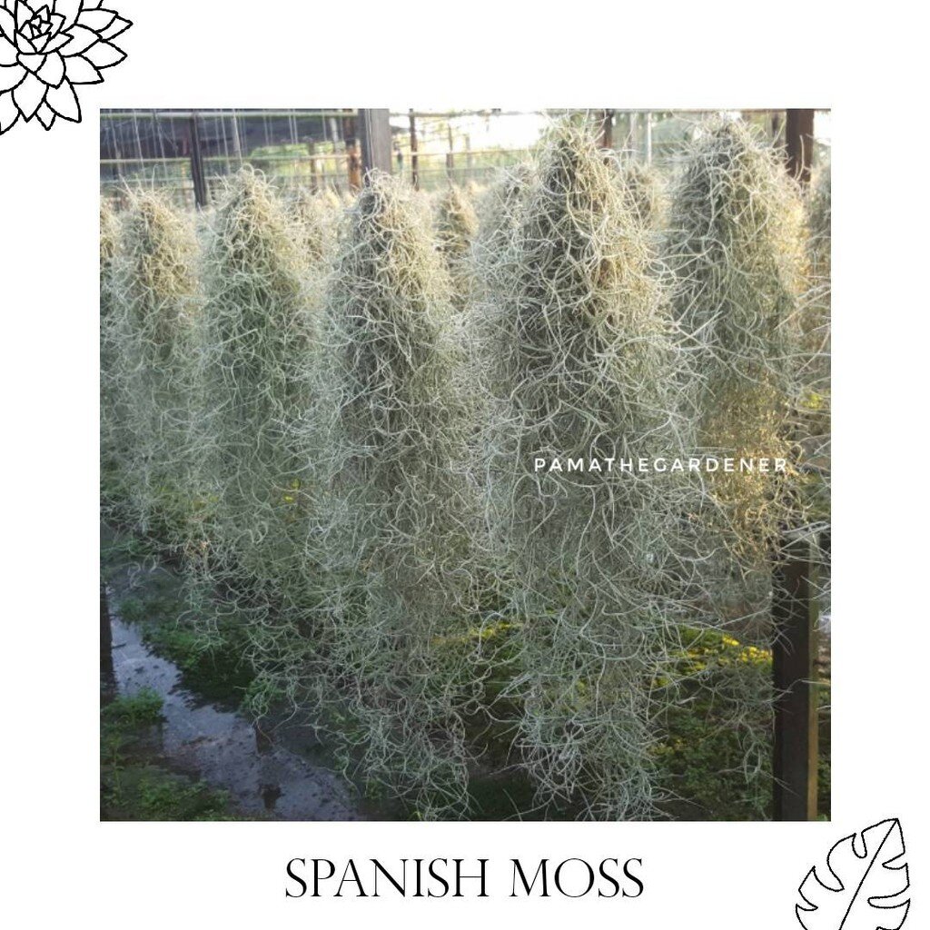 มุมมอง 3