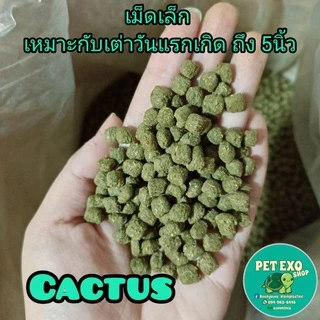🐢[Exp26.10.2027]T-Balance อาหารเต่าบก ทีบาล้านซ์ 2สูตร Original และ Cactus