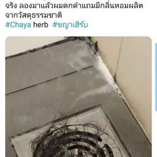 โปร🔥ซื้อ​ 1 แถม 1🔥 แชมพูสมุนไพรChaya herb สกัดจากอัญชันช่วยลดผมร่วง เร่งผมยาว ผมดกดำ เงางาม​ ขวดละ360ml