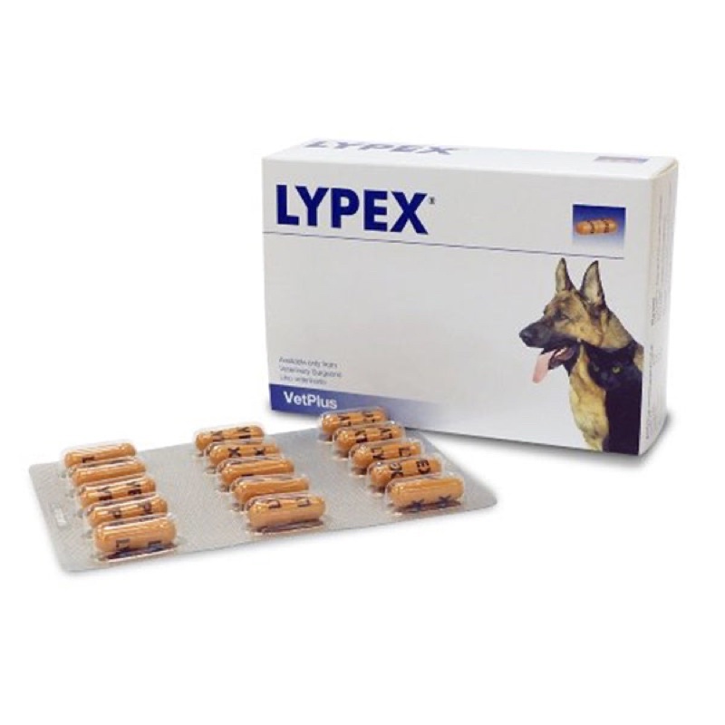 Vetplus Lypex(Exp.09/2023)