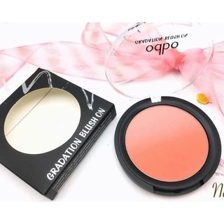 บรัชออนไล่โทน odbo gradation Blush on No.07