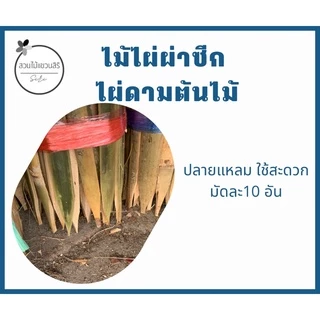 ไผ่ดามต้นไม้(❌กรุณาไม่สั่งร่วมสินค้าอื่น) ไม้ไผ่ เสาดามต้นไม้ แบ่งขาย มัดละ10 อัน เสาไม้ค้ำ ไม้ไผ่ผ่าซีก อุปกรณ์แต่งสวน