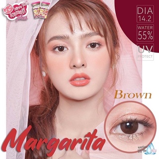 Margarita Brown (1) Mini มินิ สีน้ำตาล ช็อคโก้ Choco สีน้ำตาลเข้ม Kitty Kawaii Contact Lens Bigeye คอนแทคเลนส์ ค่าสายตา