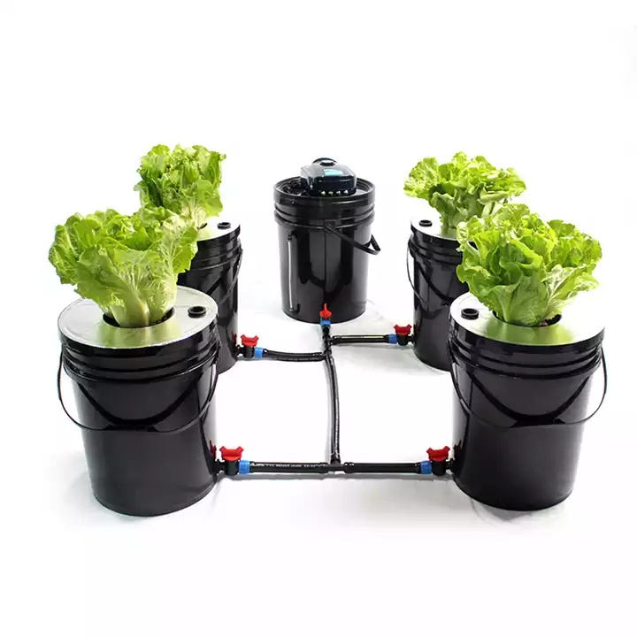 ชุดปลูกครบเซ็ท Hydroponic Grow System Deep Water Culture (DWC) Complete Kit (4 Bucket + Reservoir Kit) full set ราคา ถูกที่สุด ดีลบีเคเค แกลเลอรีภาพที่ 2