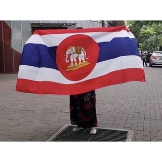 ธงชาติไทย ลายช้าง สีสด
