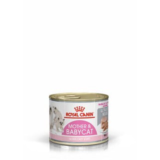 อาหารกระป๋อง Royal Canin Mother &amp; Babycat Mousse