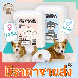 😻BHQ🐶ผ้าอ้อมสุนัข Dog Diaper ผ้าอ้อมสัตว์เลี้ยง ชายหญิง แพมเพิสสุนัข ผ้าอนามัยสุนัข ขนาดต่างๆ  ผ้าอ้อมน้องหมา