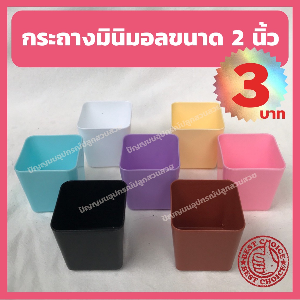 กระถางสีพาสเทล กระถาง2นิ้ว กระถางมินิมอล ทรงสี่เหลี่ยม