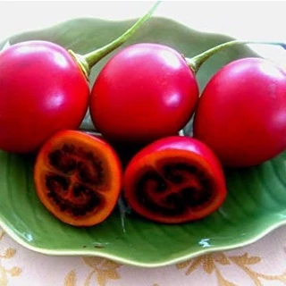 เมล็ดพันธุ์ ทามาริลโล่ มะเขือเทศต้น Tamarillo Seed บรรจุ 10 เมล็ด คุณภาพดี ของแท้ 100%