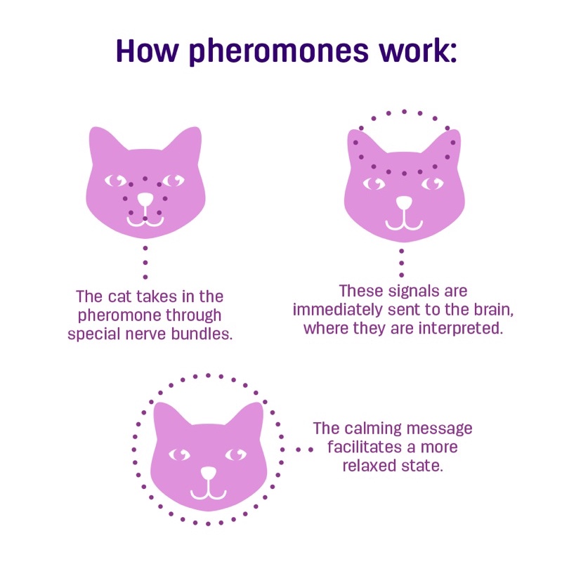 รูปภาพ 7