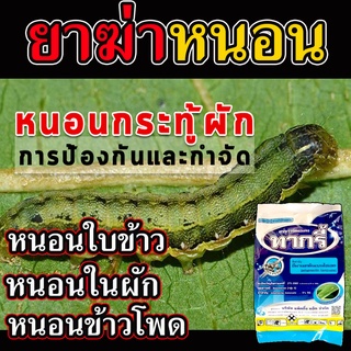 (เห็นผล100%) สารกำจัดหนอน ยาฆ่าหนอน ยาฆ่าหนอนในหอม ยาฆ่าหนอนในนา ยาฆ่าหนอนในผัก ยาหนอนในนาข้าว ยาฆ่าหนอนในผัก