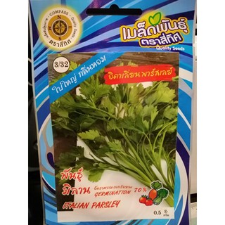 เมล็ดอิตาเลี่ยนพาร์สเลย์  พันธุ์มิลาน พาร์สเลย์ เมล็กผัก เมล็ดพันธุ์ ITALIAN PARSLEY