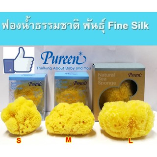 Pureen ฟองน้ำธรรมชาติ เนื้อละเอียดนุ่มมาก ฟองน้ำธรรมชาติ100% ชนิด Fine Silk จากทะเลเมดิเตอร์เรเนี่ยน