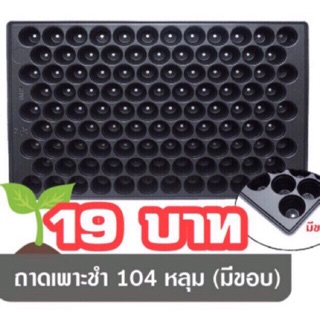 ถาดหลุมเพาะกล้า 104 หลุม พลาสติกสีดำ เซตละ 3 แผ่น 59 บาท