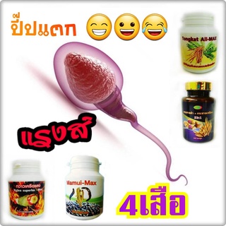 4 เสือเพื่อสุขภาพ บำรุงร่างกายครบทั้ง 4 ด้าน