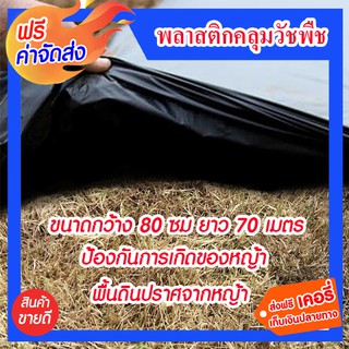 **ส่งฟรี**   กว้าง 80 เซนติเมตร  ยาว 70 เมตร พลาสติกคลุมป้องกันการเกิดของหญ้า พื้นดินปราศจากหญ้า