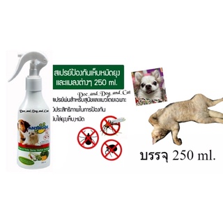 Antibugs [250ml] สเปรย์ไล่ยุง แมลง เห็บ หมัด สำหรับสุนัขและแมว