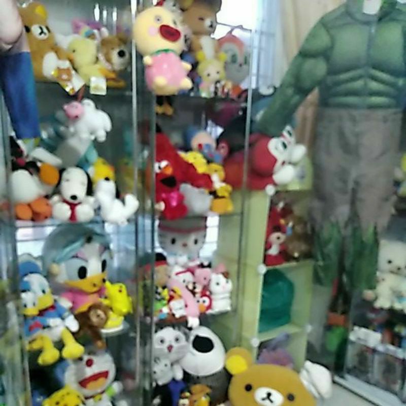 สินค้า live สด สำหรับลูกค้ารับใน live