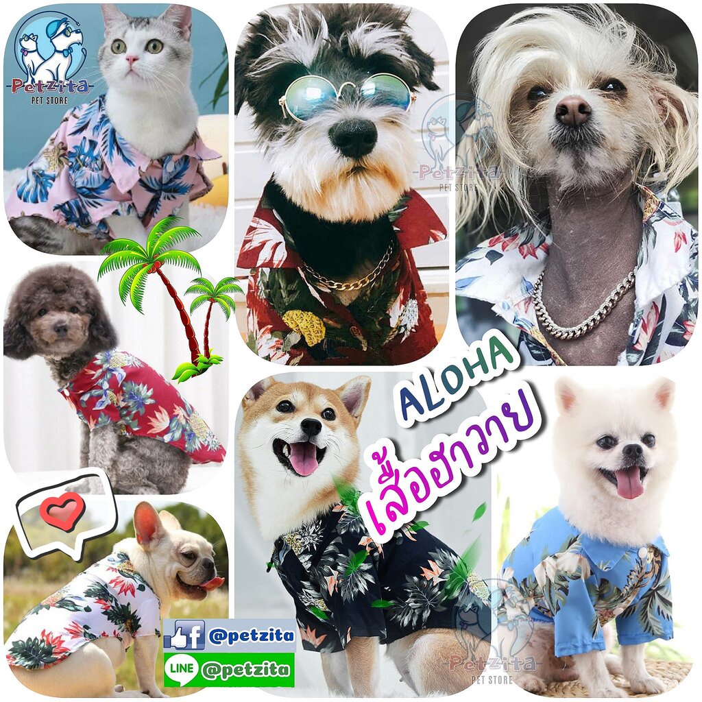 🇹🇭พร้อมส่ง🇹🇭 ⛱🌴🌺 เสื้อเชิ๊ตฮาวายสุดเท่ห์ ไซส์ S-5XL เสื้อสุนัข ชุดแมว หมาพันธุ์ใหญ่ ลายดอก สงกรานต์