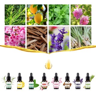 น้ำหอมอโรม่า น้ำมันหอมระเหย (ESSENTIAL OIL) 10 ml.