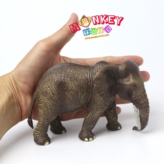 Monkey Toys - โมเดลสัตว์ ช้างแอฟริกา ขนาด 13.50 CM (จากหาดใหญ่)