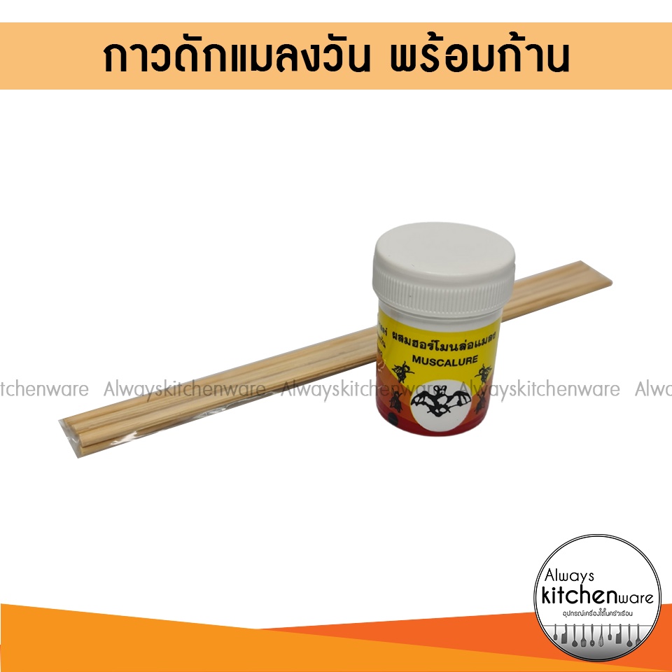 กาวดักแมลงวัน ที่ดักแมลงวัน มีก้านแถม ตราค้างคาว