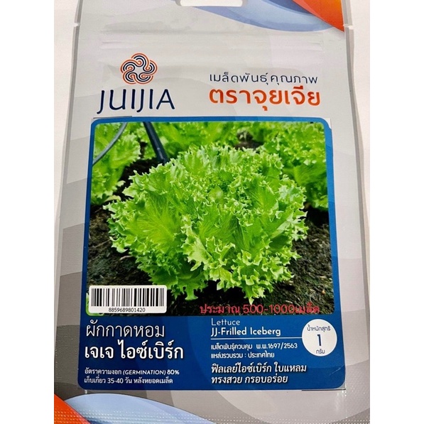 จุยเจีย สลัด ฟินเล่ย์ ไอซ์เบิร์ก (ประมาณ 500-1000 เมล็ด)