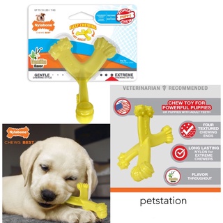 Nylabone Power Chew ของเล่นขัดฟัน