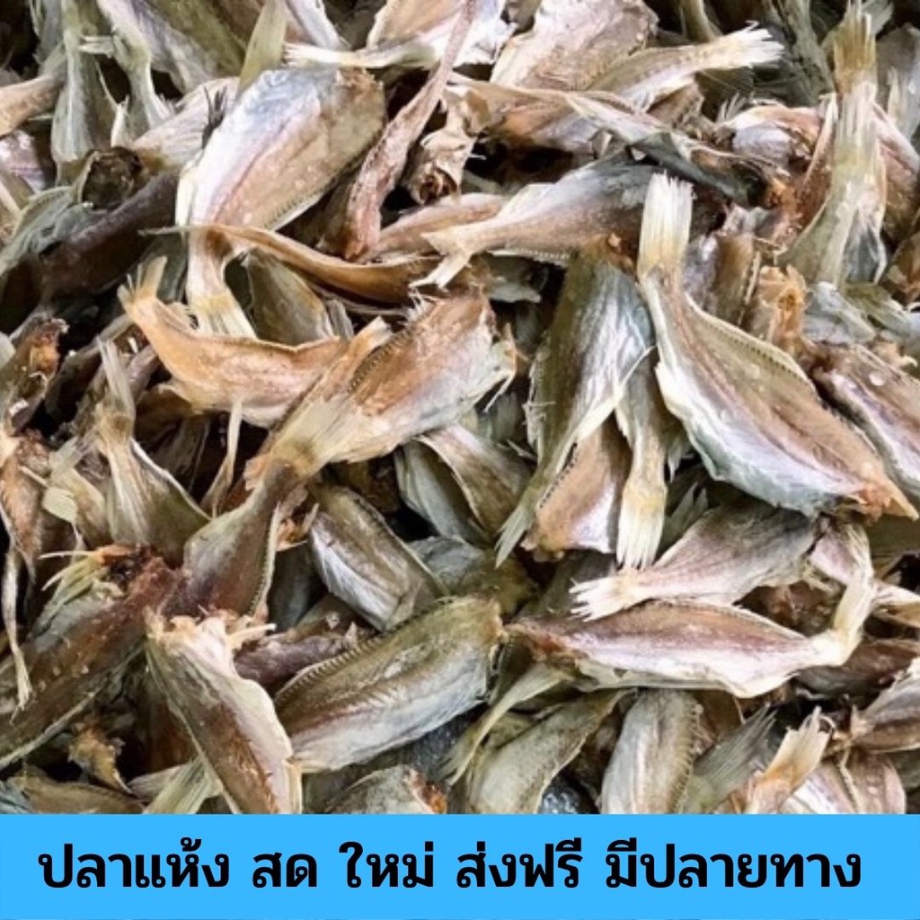 ปลาจวดตัดหัว 1 ถุง ปลาจวด ปลาจวดเค็ม ปลาจวดแดดเดียว ปลาเค็ม อาหารทะเล อาหารทะเลตากแห้ง อาหารทะเลแห้ง อาหารทะเลแปรรูป