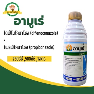 🔺อามูเร่ ไดฟีโนโคนาโซล (difenoconazole)+โพรพิโคนาโซล (propiconazole) สารป้องกันกำจัดโรคพืช