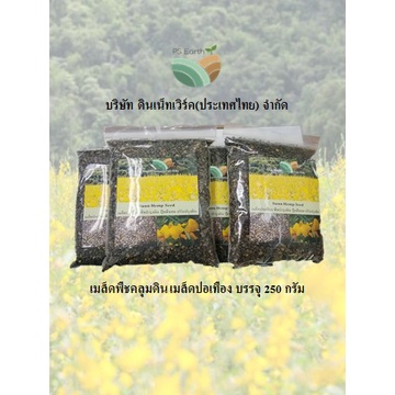 เมล็ดพืชคลุมดิน-เมล็ดปอเทือง 250 กรัม Covercrop-Sun Hemp seeds 250 g