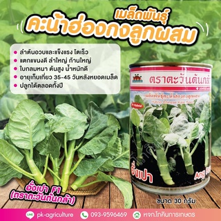 เมล็ดพันธุ์คะน้าฮ่องกงอั่งเปา F1 (ตราตะวันต้นกล้า) ขนาด 30 กรัม