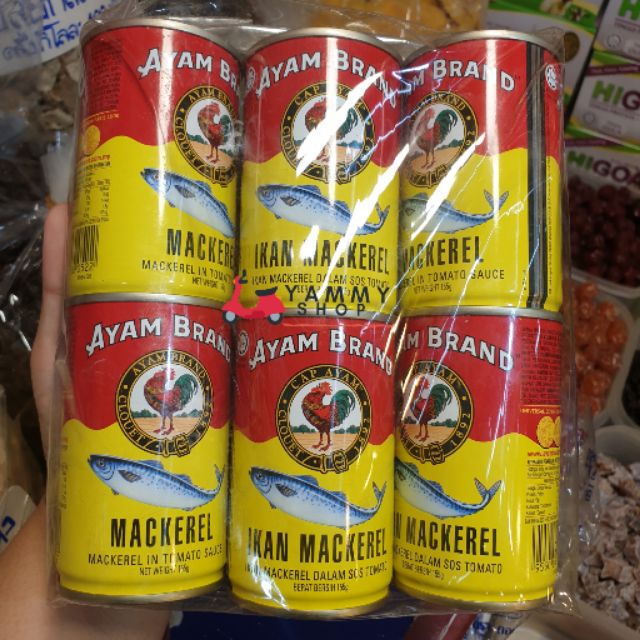 AYAM อะยัม ปลากระป๋องแมกเคอเรลในซอสมะเขือเทศ 155 กรัม x 6 กระป๋อง