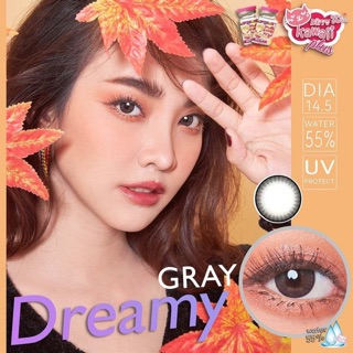 Dreamy gray พร้อมส่งค่าสายตา (kittykawaii)