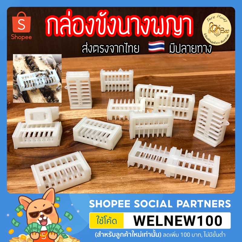 ส่งไว กล่องขังนางพญาผึ้ง กล่องกักนางพญา กล่องเลี้ยงผึ้ง ป้องกันหนีรัง [มีปลายทาง] กรงขังนางพญา อุปกรณ์เลี้ยงผึ้ง
