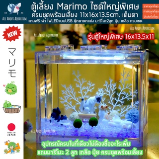 [ของแท้ 💯] มาริโมะ Marimo ตู้เหลี่ยมJUMBO มีไฟLED แถมฟรีอุปกรณ์ครบชุดพร้อมเลี้ยง ตู้ใหญ่พิเศษ สาหร่าย สาหร่ายมาริโมะ มอส