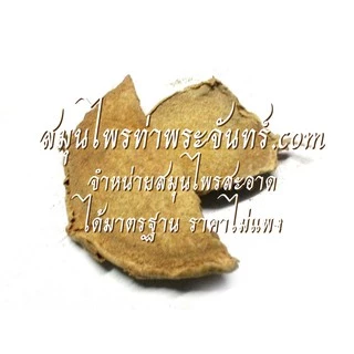 ว่านชักมดลูกผง 100% (ตัวเมีย) บรรจุซองฟรอยด์ซิป กันร้อน กันชื้น / ผงว่านชักมดลูก ว่านชักมดลูก