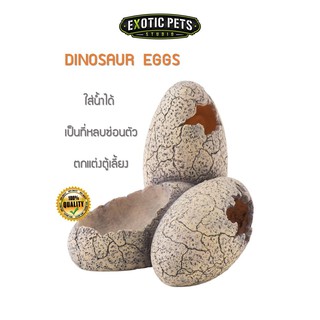 Exo Terra  DINOSAUR EGGS ที่ซ่อนตัวรูปไข่