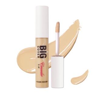 Big Cover Concealer tips