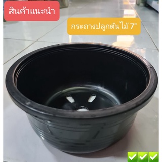 กระถางปลูกต้นไม้ทรงชาม  ปากกว้า 7" สูง 3" (ขายแพค 5 ใบ  45บาท)